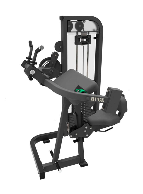 DUAL BICEP AND TRICEP MACHINE