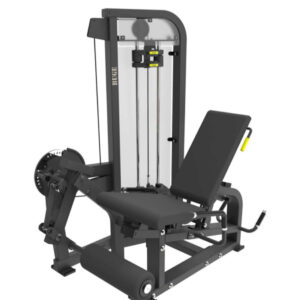 DUAL PRONE LEG CURL & SEATED LEG EXTENTION H