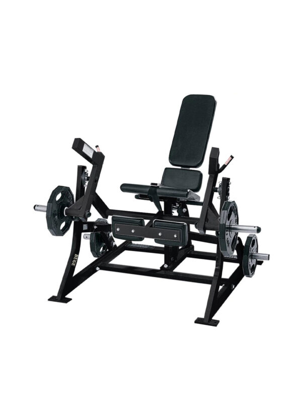 LEG EXTENSION