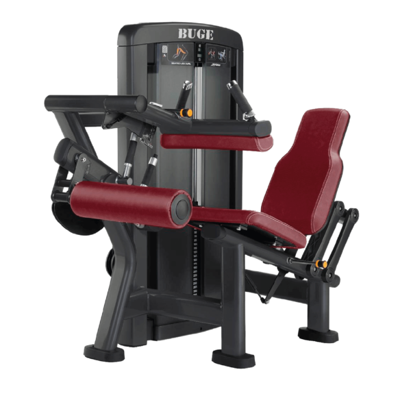 SEATED LEG CURL