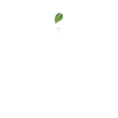 C-_Users_disen_OneDrive_Documents_CUENTAS-ESTEF-23-_7_18